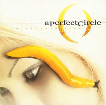 A Perfect Circle - Thirteenth Step (2LP Set Virgin Records US VinylRip 24/96) 2003
