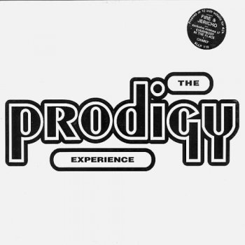 The Prodigy - Experience (2LP Set XL Recordings UK VinylRip 24/96) 1992