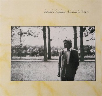 David Sylvian - Brilliant Trees (Virgin Records UK LP VinylRip 24/96) 1984