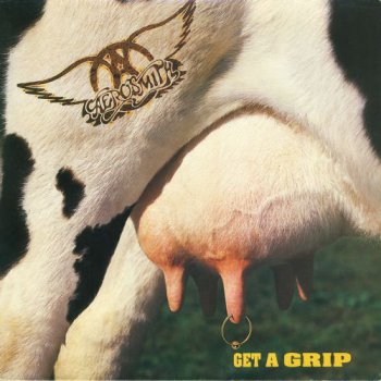 Aerosmith - Get A Grip (2LP Set Geffen Holland VinylRip 24/96) 1993
