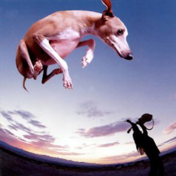 Paul Gilbert - Flying Dog (1998) [Japan Edit. 2CD]