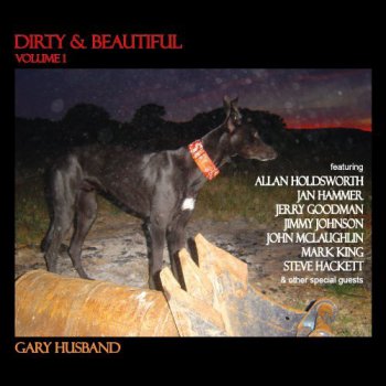 Gary Husband - Dirty & Beautiful (2010)