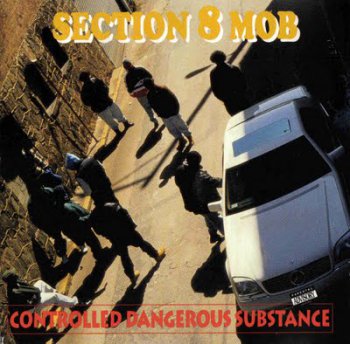 Section 8 Mob-Controlled Dangerous Substance 1994