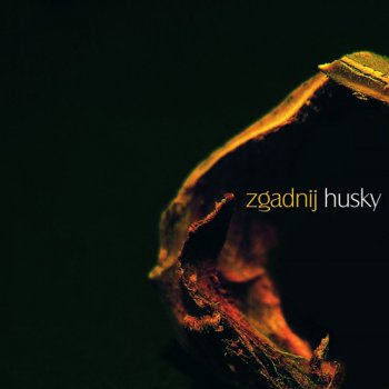Husky - Zgadnij (2010)