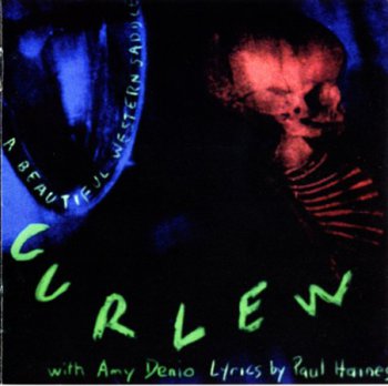 Curlew - A Beautiful Western Saddle (1993)