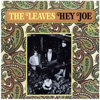 The Leaves - Hey Joe (1966)