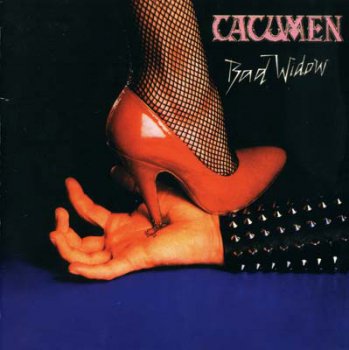 Cacumen (pre – Bonfire) - Bad Widow 1983