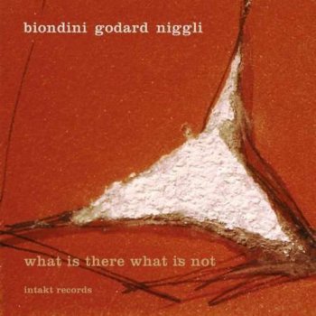 Biondini, Godard, Niggli - What Is There What Is Not (2011)
