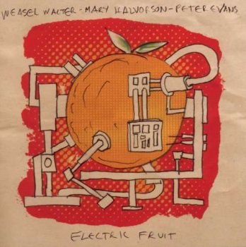 Weasel Walter, Mary Halvorson, Peter Evans - Electric Fruit (2011)