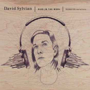 David Sylvian - Died In The Wool (2011)