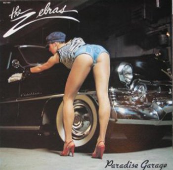 The Zebras  Paradise garage  1978