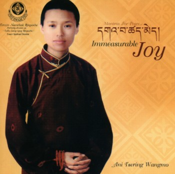 Ani Tsering Wangmo - Immeasurable Joy (2006)