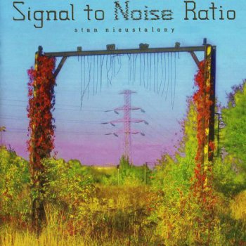 Signal To Noise Ratio - Stan Nieustalony 2008