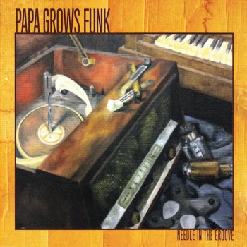 Papa Grows Funk - Needle In The Groove (2012)