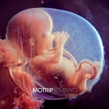 MoTrip-Embryo 2012