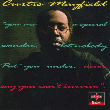 Curtis Mayfield - Never Say You Can't Survive (1977)