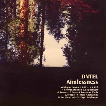 Dntel - Aimlessness - 2012