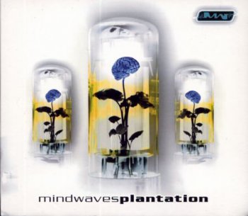 VA - Mindwaves Plantation (2008) Lossless