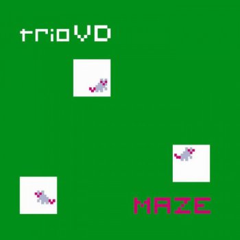 trio VD - Maze  (2012)