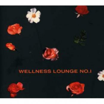 VA - Wellness Lounge No 1 (2002) 2CD