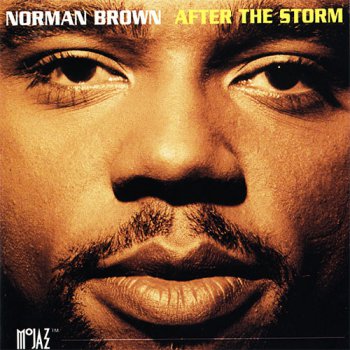 Norman Brown - After The Storm (1994)