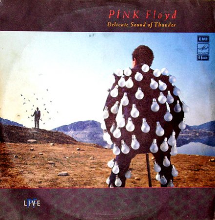 Pink Floyd - Delicate Sound of Thunber (live)(1988)2lp, Vinyl-rip, flac24-96 + flac16-44
