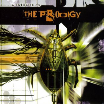 A Tribute To The Prodigy (2002)