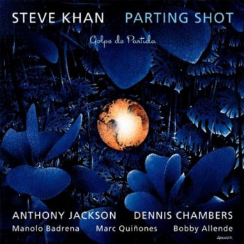 Steve Khan - Parting Shot (2011)