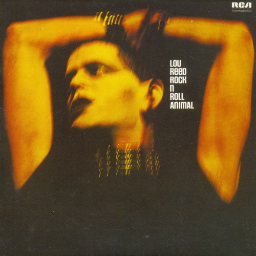 Lou Reed: 4 Box X 5CD / 20 Albums - 2008, 2009, 2011, 2013