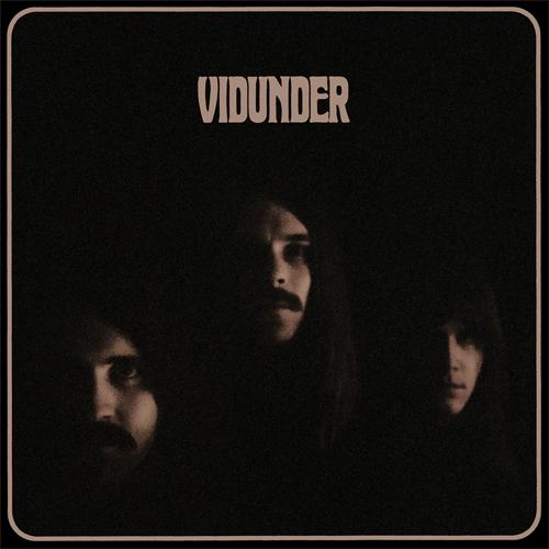 Vidunder - Vidunder (2013)