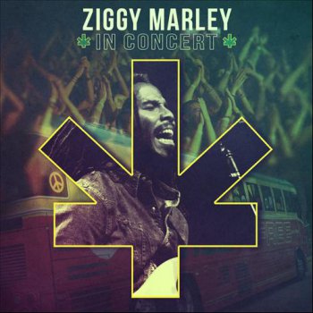 Ziggy Marley - In Concert (2013)