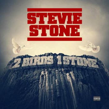 Stevie Stone-2 Birds,1 Stone 2013