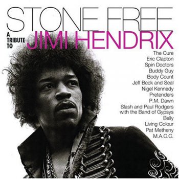 V/A-Stone Free- A Tribute  To  Jimi Hendrix  (1993)