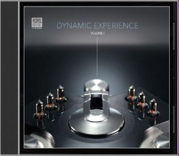 Dynamic Experience Volume 1 2011