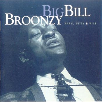 Big Bill Broonzy - Warm, Witty & Wise (1998)