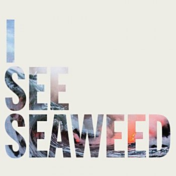 The Drones - I See Seaweed 2013