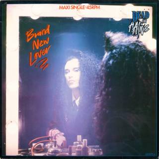 Dead Or Alive - Brand New Lover (Vinyl, 12'') 1986