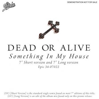 Dead Or Alive - Something In My House (Promo) (Vinyl, 7'') 1986