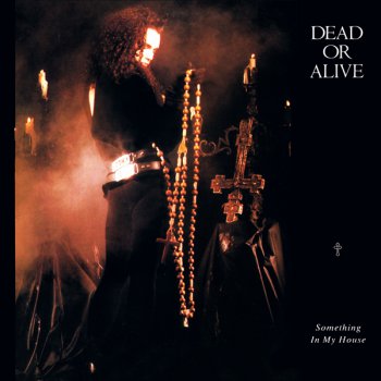 Dead Or Alive - Something In My House (Vinyl, 12'') 1986