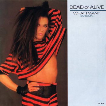 Dead Or Alive - What I Want (Vinyl, 12'') 1984