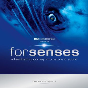 Blu elements project - Forsenses [DTS] (2009)
