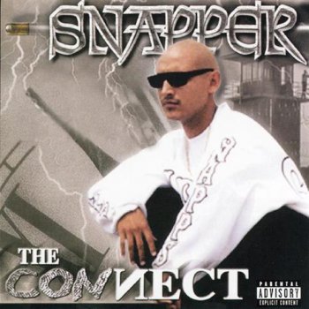 Snapper-The Connect 2000