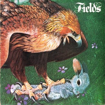 Fields - Fields 1971 (Vinyl Rip 24/192)