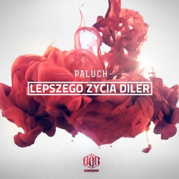 Paluch-Lepszego Zycia Diler 2013