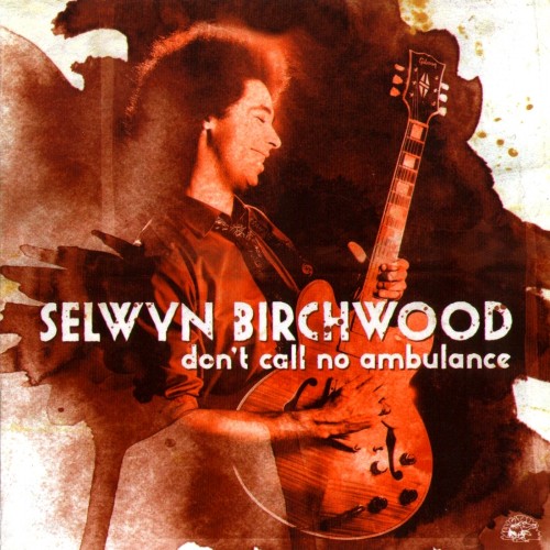 Selwyn Birchwood - Don't Call No Ambulance (2014)