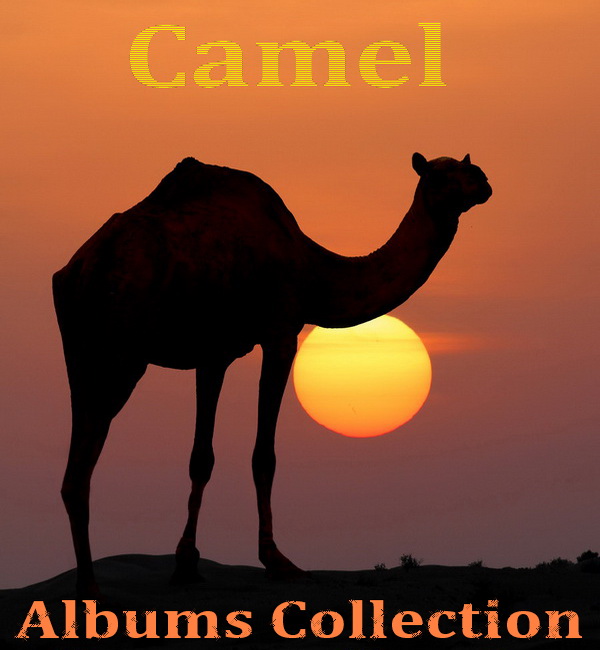 Camel: Albums Collection - 9 Albums Jewel Case SHM-CD ● 3 Albums Platinum SHM-CD ● 8 Albums Mini LP SHM-CD