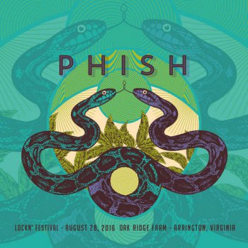 Phish - 2016-08-28 Lockn Festival, Arrington, VA (2016)