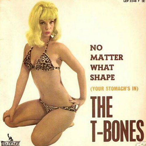 The T-Bones - No Matter What Shape (Your Stomach's In) (1966)