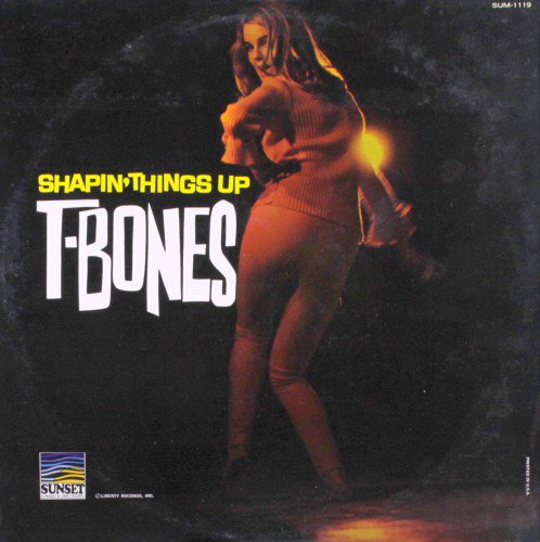 The T-Bones - Shapin' Things Up (1967)