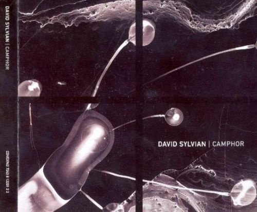 David Sylvian - Camphor (2002) [2CD Limited Edit.]
